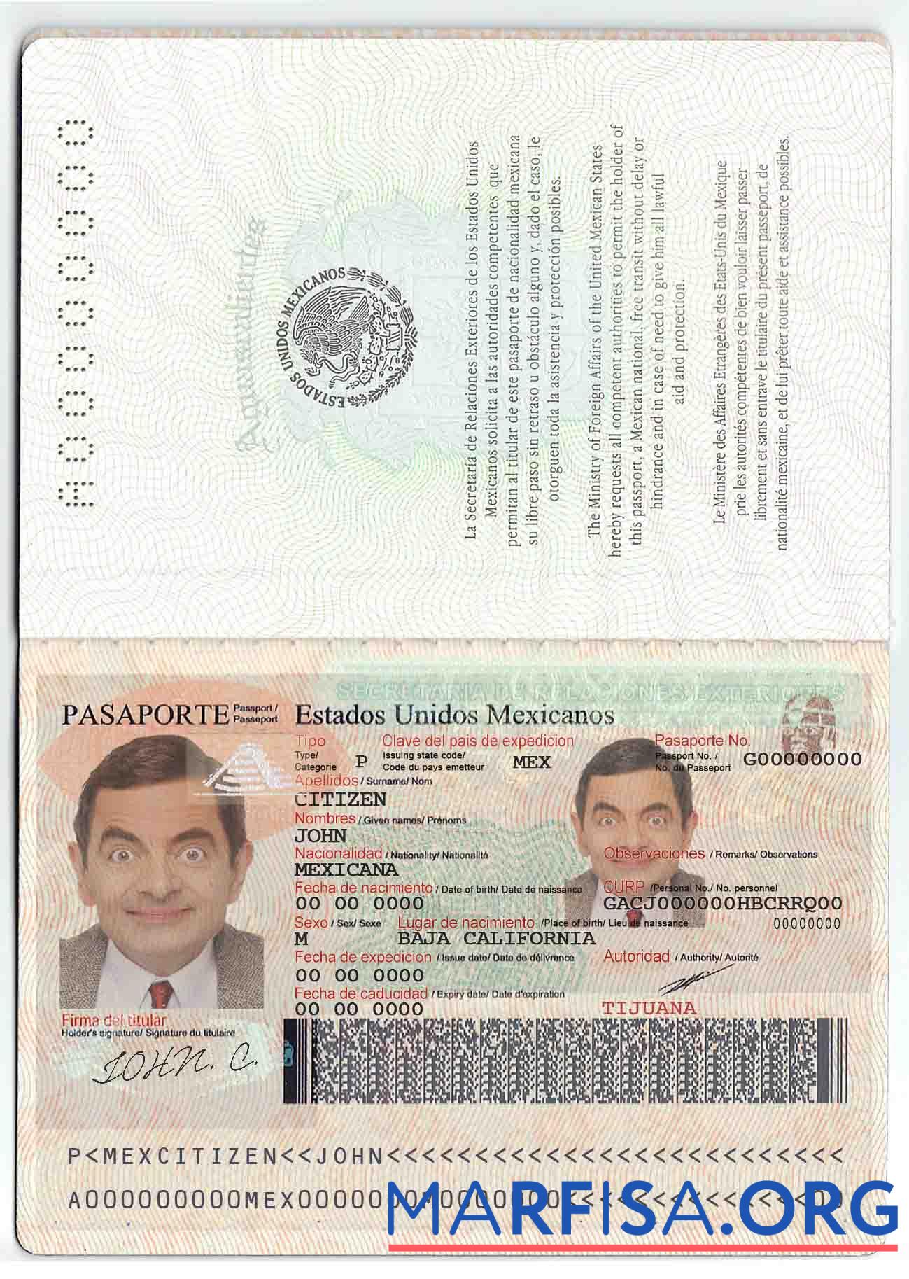 Printable Mexico passport template